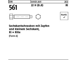 DIN 561 22 H (8.8) Ri Sechskantschrauben mit Zapfen und kleinem Sechskant,mit Ri