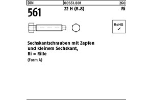 DIN 561 22 H (8.8) Ri Sechskantschrauben mit Zapfen und kleinem Sechskant,mit Ri