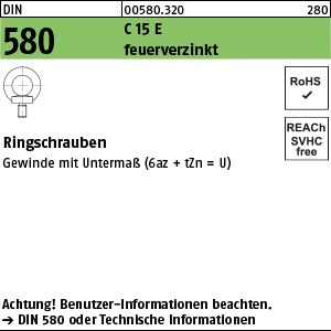DIN 580 C15E U M 8 feuerverzinkt tZn S