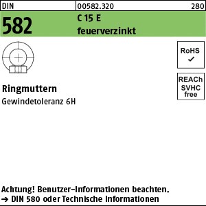 DIN 582 C15E M 12 feuerverzinkt tZn S
