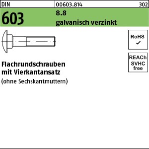 DIN 603 o.Mu 8.8 M 6 x 10 galv. verzinkt gal Zn S