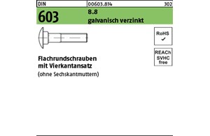 DIN 603 8.8 galvanisch verzinkt Flachrundschrauben mit Vierkantansatz 