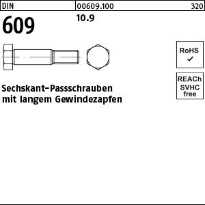 DIN 609 10.9 M 10 x 35 SW 16 S