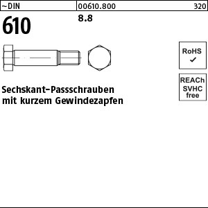 DIN 610 8.8 M 8 x 25 S