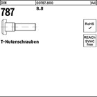 DIN 787 8.8 T-Nutenschrauben 