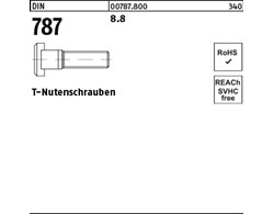 DIN 787 8.8 T-Nutenschrauben 