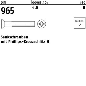 DIN 965 4.8 M 2,5 x 6 -H S