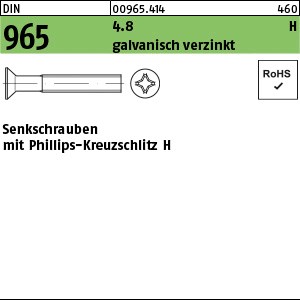 DIN 965 4.8 M 2 x 8 -H galv. verzinkt gal Zn S