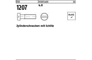 ISO 1207 4.8 Zylinderschrauben mit Schlitz 