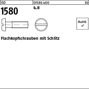 ISO 1580 4.8 M 3 x 5 S