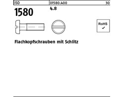 ISO 1580 4.8 Flachkopfschrauben mit Schlitz 