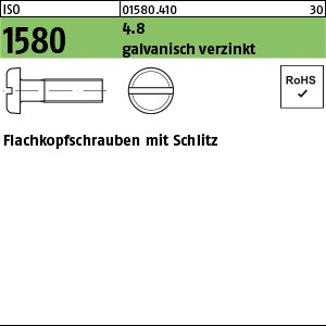 ISO 1580 4.8 M 6 x 16 galv. verzinkt gal Zn