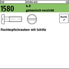 ISO 1580 4.8 galvanisch verzinkt Flachkopfschrauben mit Schlitz 