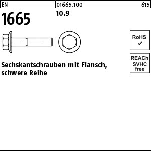 EN 1665 10.9 M 5 x 12 S