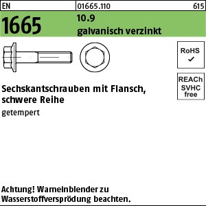 EN 1665 10.9 M 5 x 10 galv. verzinkt A2F, getempert gal Zn S