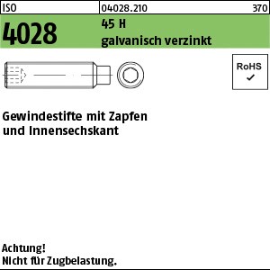ISO 4028 45 H M 4 x 8 galv. verzinkt gal Zn S