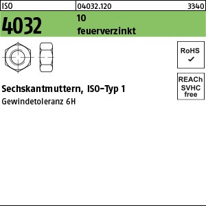 ISO 4032 10 M 16 feuerverzinkt Gew.-tol. 6H tZn S