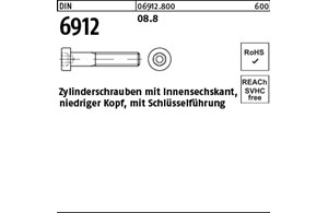 DIN 6912 08.8 Zylinderschrauben mit Innensechskant, niedriger Kopf, mit Schlüsse