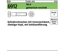 DIN 6912 08.8 galvanisch verzinkt Zylinderschrauben mit Innensechskant, niedrige