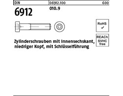 DIN 6912 010.9 Zylinderschrauben mit Innensechskant, niedriger Kopf, mit Schlüss