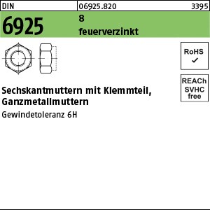 DIN 6925 8 M 10 feuerverzinkt Gew.-toleranz 6H tZn S