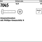 ISO 7045 4.8 H Linsenschrauben mit Phillips-Kreuzschlitz H