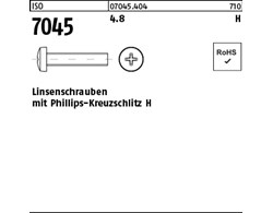 ISO 7045 4.8 H Linsenschrauben mit Phillips-Kreuzschlitz H
