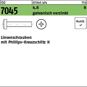 ISO 7045 4.8 M 4 x 30 -H galv. verzinkt gal Zn S