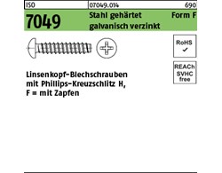 ISO 7049 Stahl, geh. Form F galvanisch verzinkt Linsenkopf-Blechschrauben mit Za