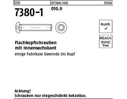 ISO 7380-1 010.9 Flachkopfschrauben mit Innensechskant 