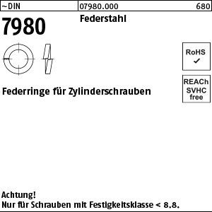 DIN 7980 Federstahl 3 S