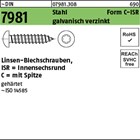 ~DIN 7981 Stahl Form C-ISR galvanisch verzinkt Linsen-Blechschrauben mit Spitze,