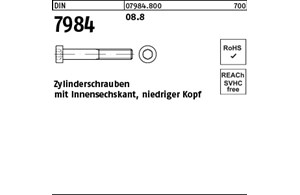 DIN 7984 08.8 Zylinderschrauben mit Innensechskant, niedriger Kopf