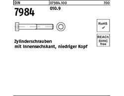 DIN 7984 010.9 Zylinderschrauben mit Innensechskant, niedriger Kopf