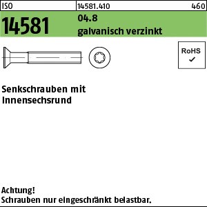 ISO 14581 04.8 M 3 x 4 -T10 galv. verzinkt gal Zn S