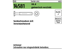 ISO 14581 08.8 galvanisch verzinkt Senkschrauben mit Innensechsrund 