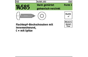 ISO 14585 Stahl, geh. Form C galvanisch verzinkt Flachkopf-Blechschrauben mit Sp