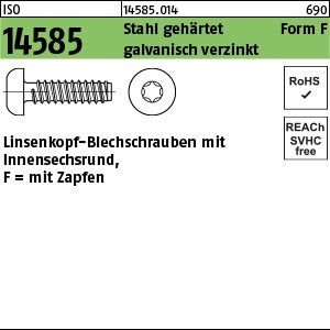 ISO 14585 Stahl 2,9 x 6,5 -F-T10 galv. verzinkt gal Zn S