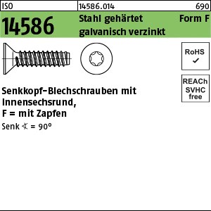ISO 14586 Stahl 2,9 x 6,5 -F-T10 galv. verzinkt gal Zn S