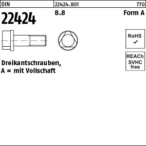 DIN 22424 8.8 AM 8 x 25 S