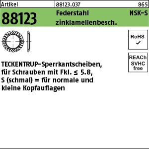 ART 88123 TECKENTRUP-Sperrkantscheiben C 60 flZnnc NSK-S 4 flZn S