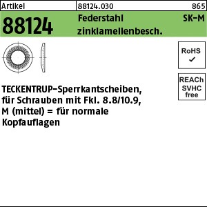 ART 88124 TECKENTRUP-Sperrkantscheiben C 60 flZnnc SKM 4 flZn S