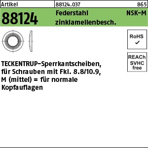 ART 88124 TECKENTRUP-Sperrkantscheiben C 60 flZnnc NSK-M 20 flZn S