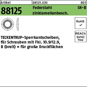 ART 88125 TECKENTRUP-Sperrkantscheiben C 60 flZnnc SKB 6 flZnnc S