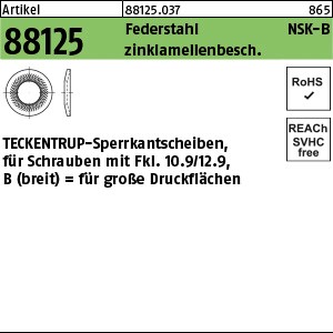 ART 88125 TECKENTRUP-Sperrkantscheiben C 60 flZnnc NSK-B 6 flZnnc S