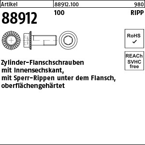 ART 88912 Innen-6-kt. Schr. Kl. 100 m. Sperr-Ripp, M 5 x 10 S