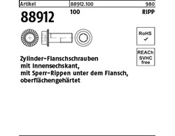 Artikel 88912 100 RIPP Zylinder-Flanschschrauben mit Innensechskant, mit Sperr-R