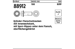 Artikel 88912 100 RIPP Zylinder-Flanschschrauben mit Innensechskant, mit Sperr-R