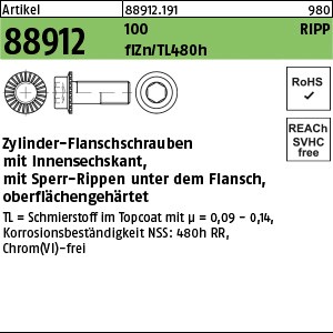 ART 88912 Innen-6-kt. Ripp-Schr. Kl. 100 M 6 x 12 flZn/nc/TL/x/480h/C flZn S