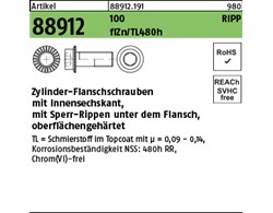 Artikel 88912 100 RIPP flZn/TL 480h (zinklamellenbesch.) Zylinder-Flanschschraub